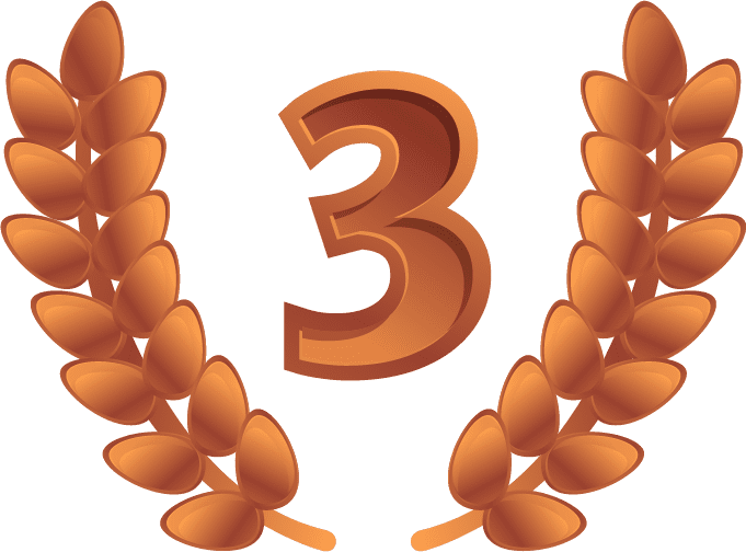 Award 3